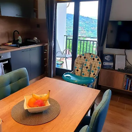 Visegradski Pogled *