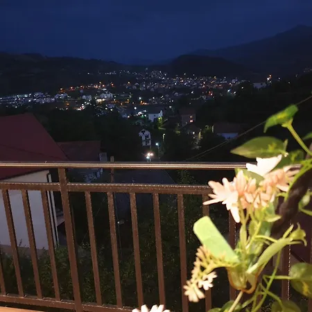 Apartment Visegradski Pogled *